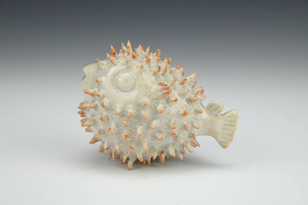 Puffer Fish