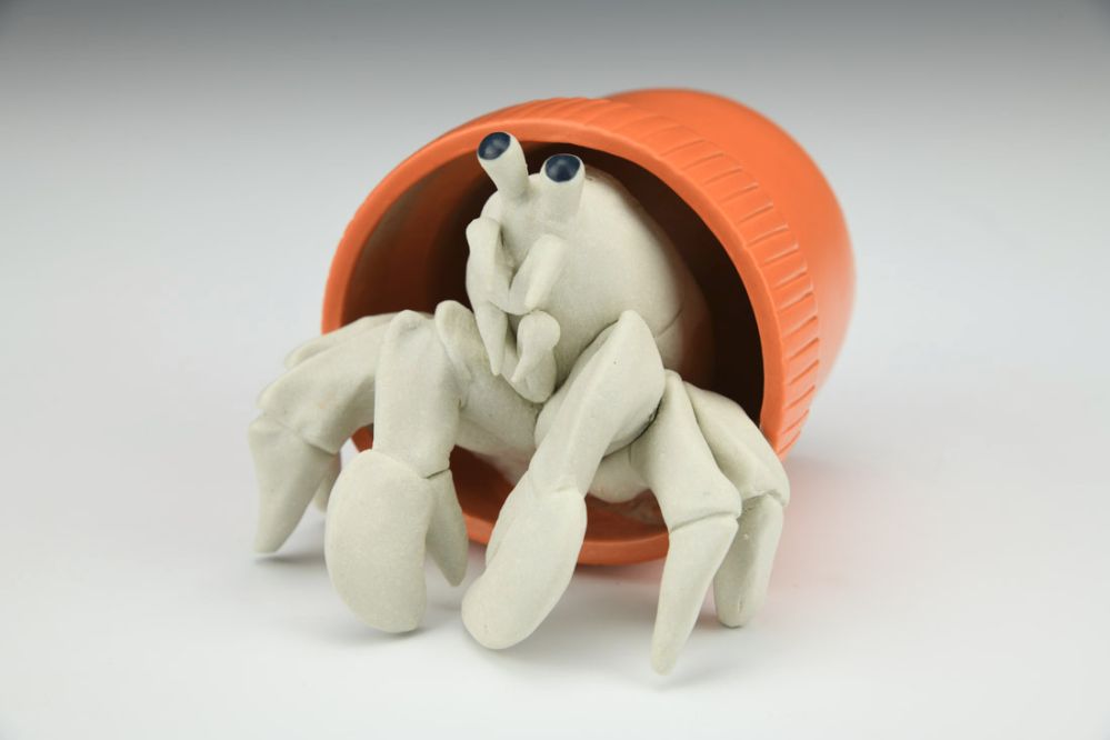 Hermit Crab Adaptation