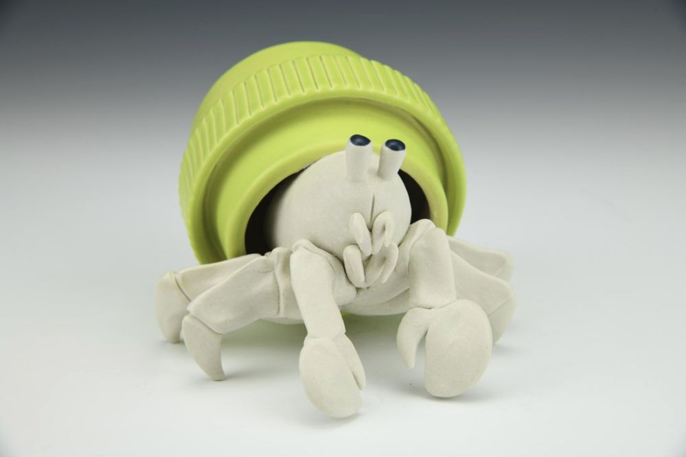 Hermit Crab Adaptation