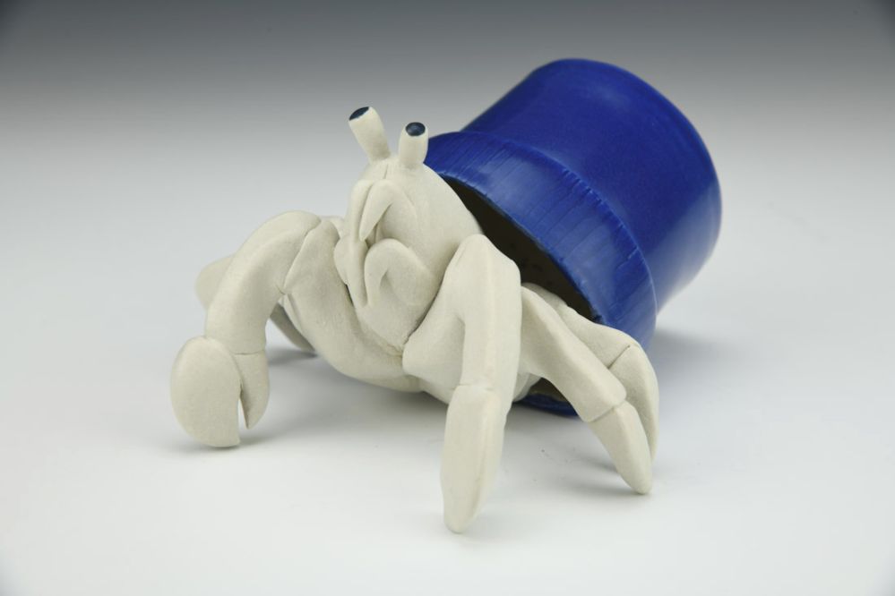 Hermit Crab Adaptation