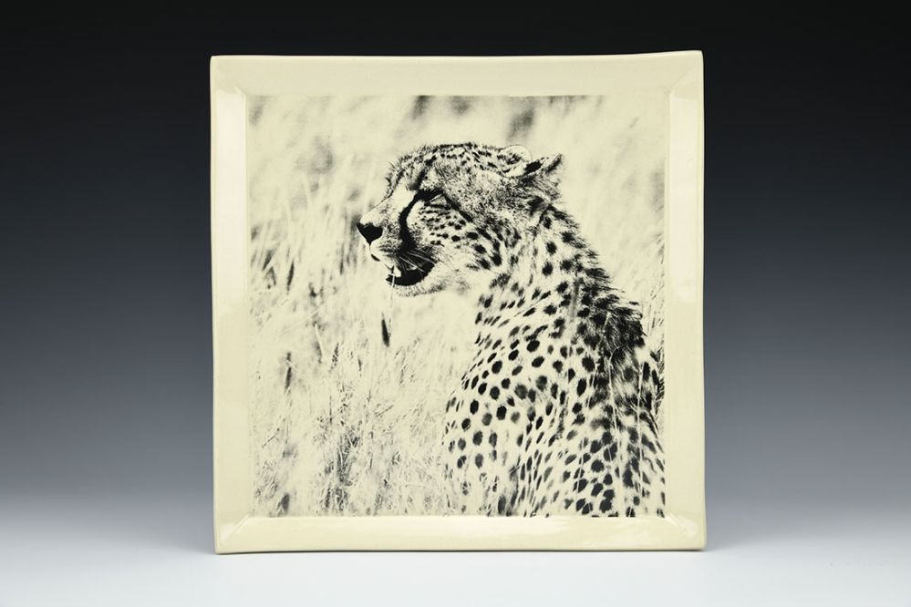 Square Cheetah Plate
