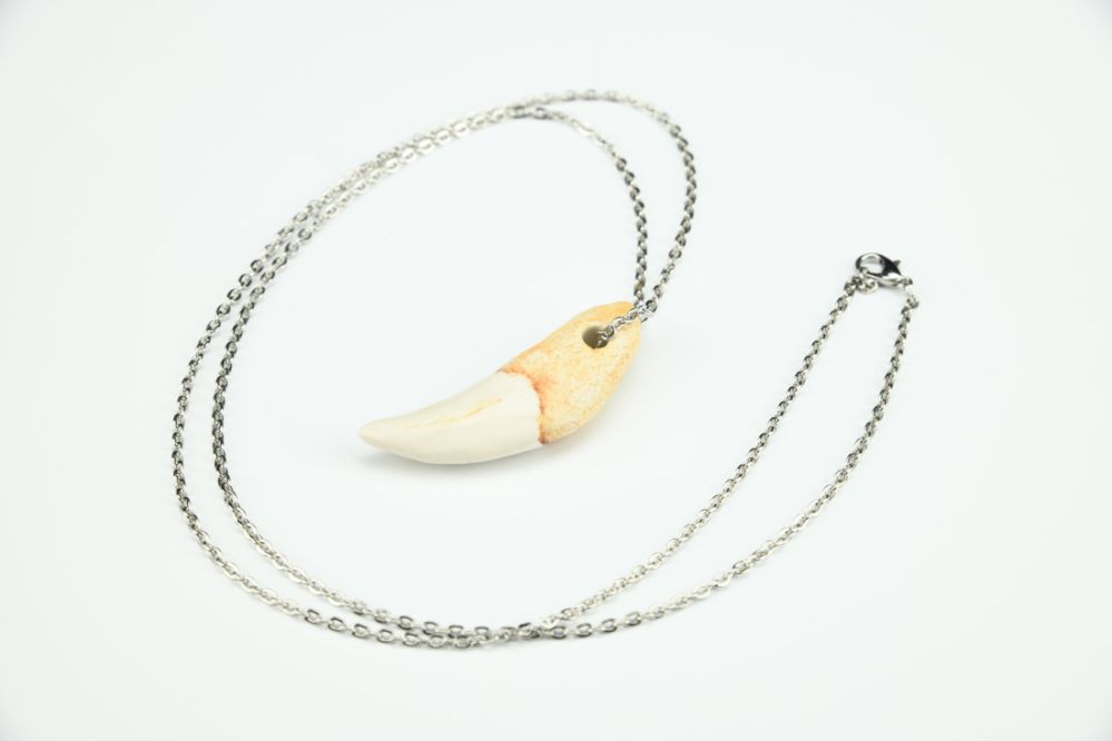 Wolf Tooth Necklace