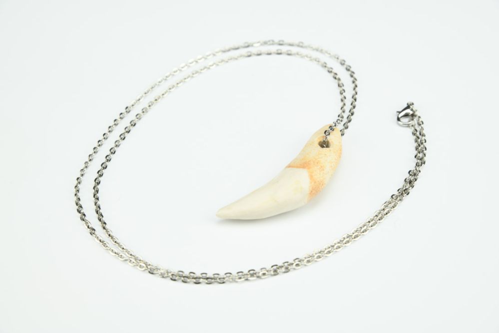 Wolf Tooth Necklace