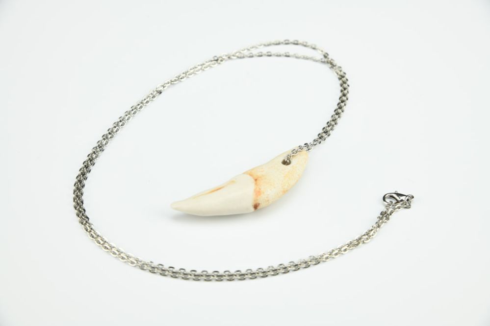 Wolf Tooth Necklace