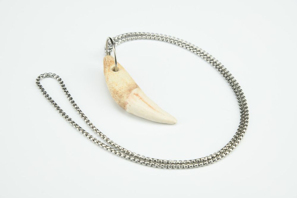 Wolf Tooth Necklace