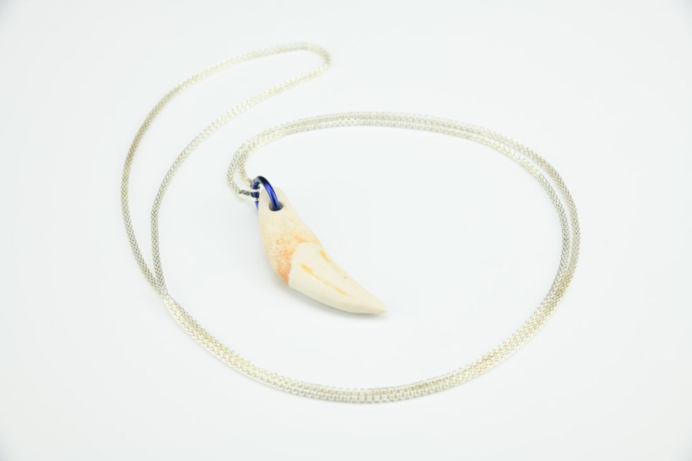 Wolf Tooth Necklace