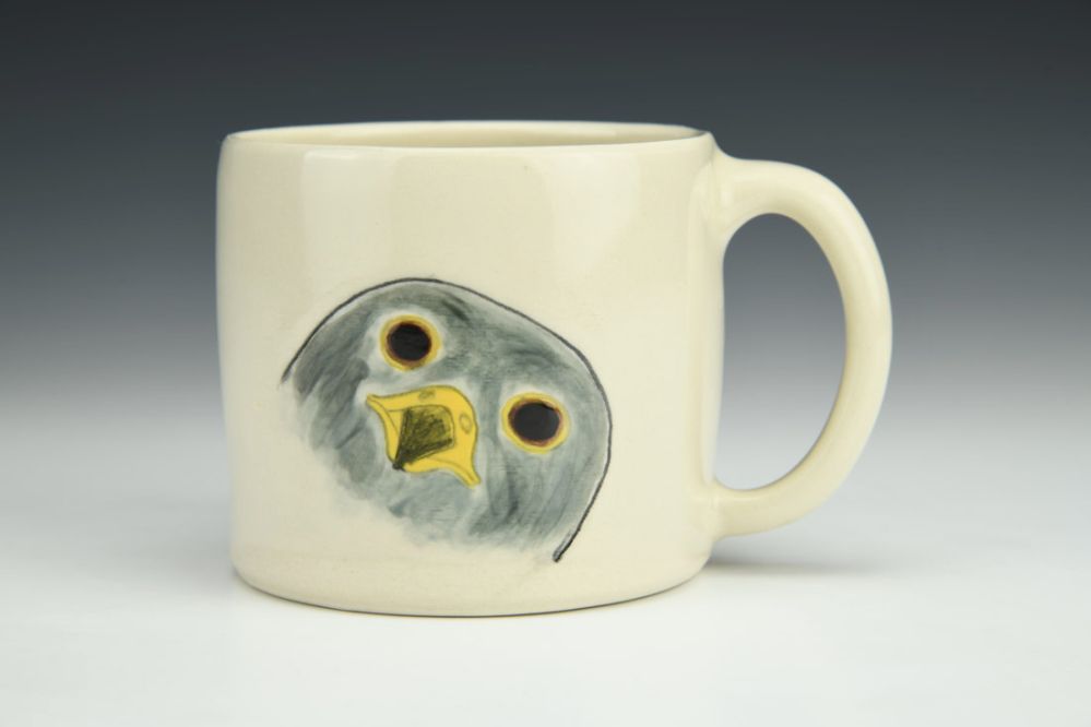 Falcon Face