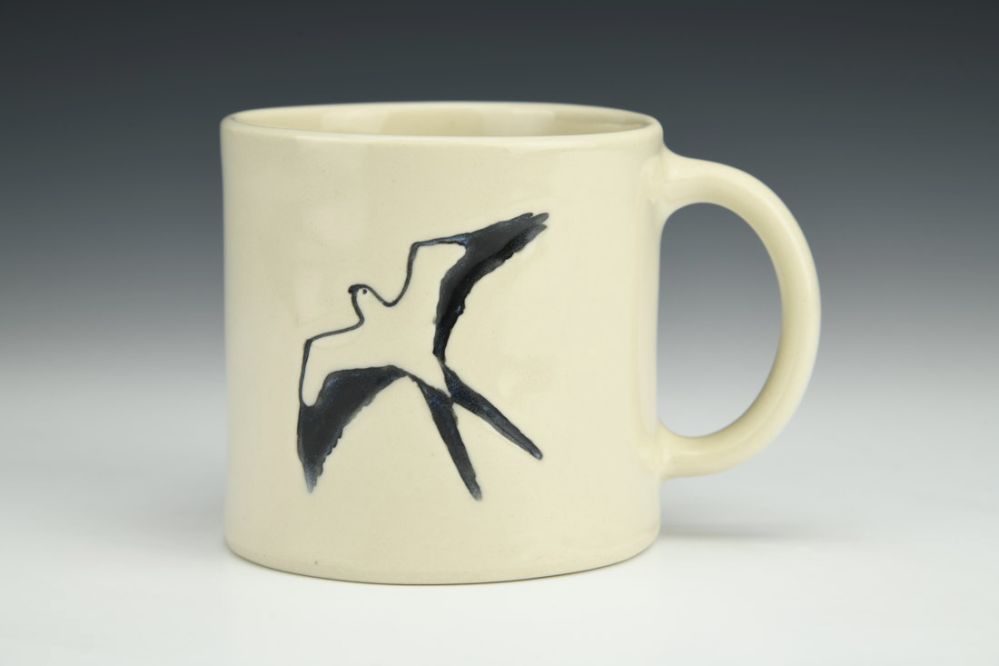 Swallow-Tailed Kite