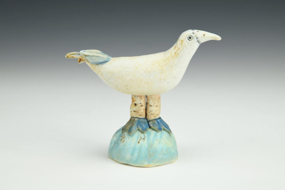 Bird with Blue Feet