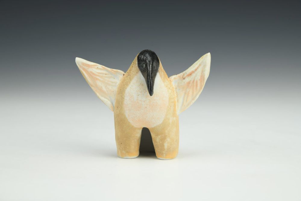 Owl with Raven Mask
