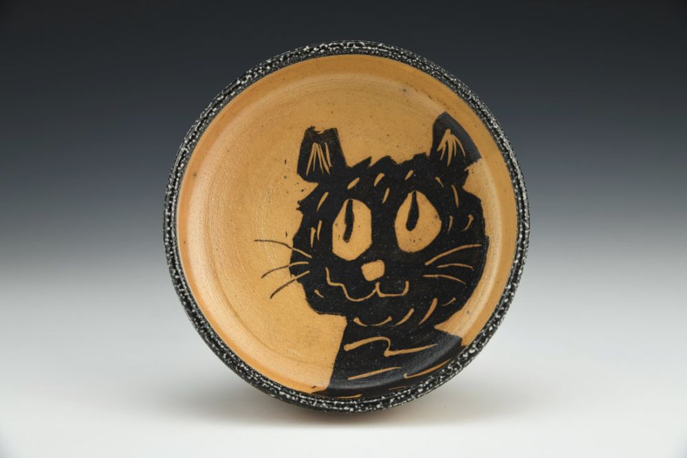 Dish