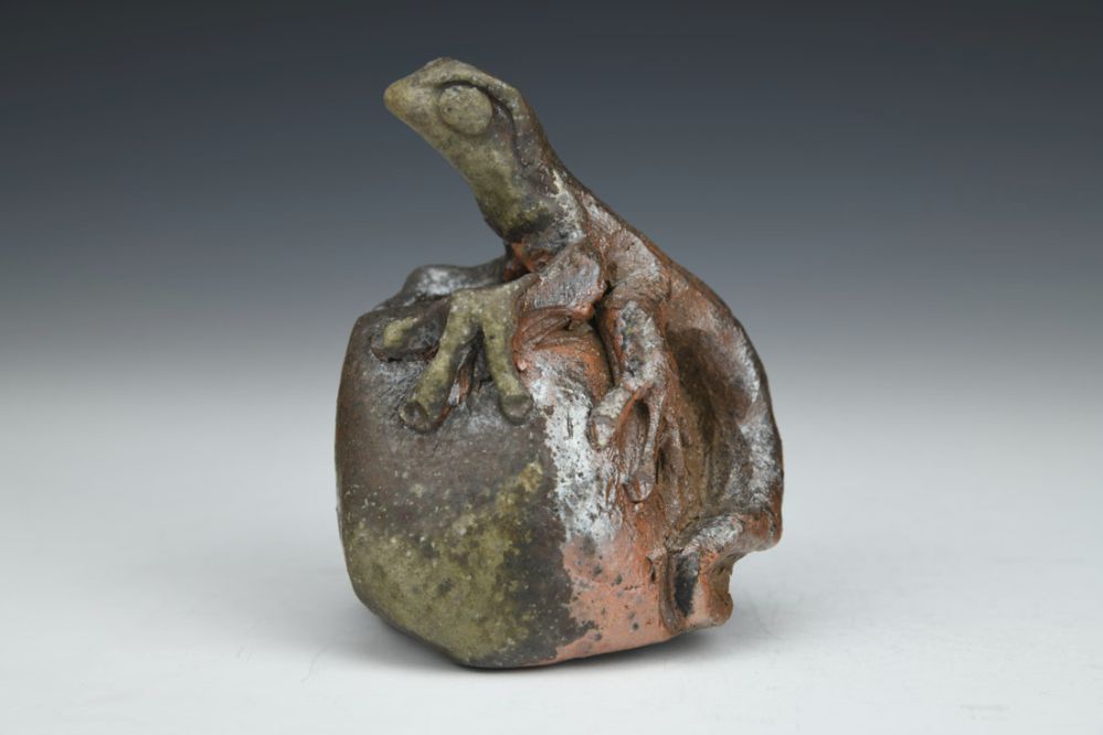 Vermont Backyard Neighbors - Eft Rattle