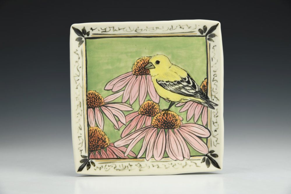 American Goldfinch with Coneflowers