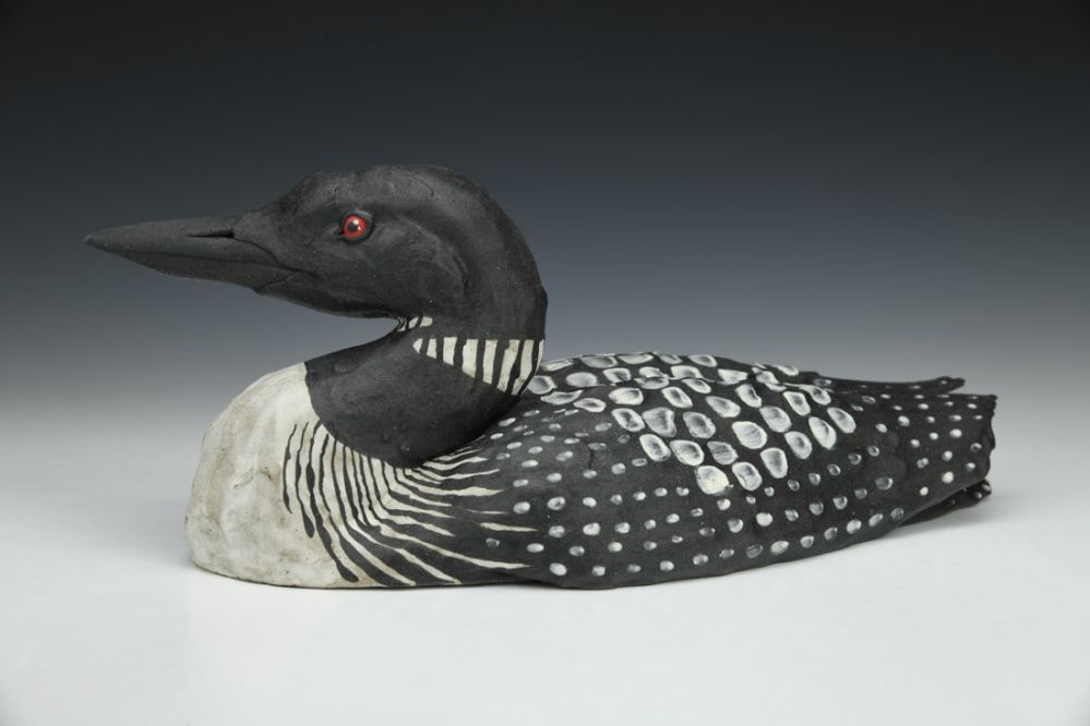 Common Loon