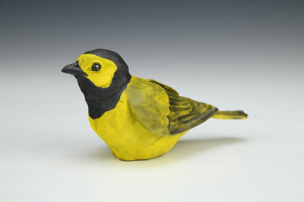 Hooded Warbler