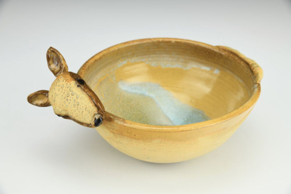 Armadillo Salsa Dish