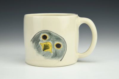 Falcon Face
