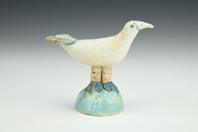 Bird with Blue Feet