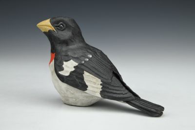Rose-breasted Grosbeak
