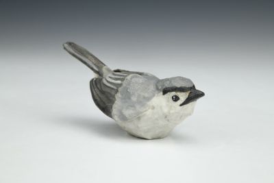 Blue-gray Gnatcatcher