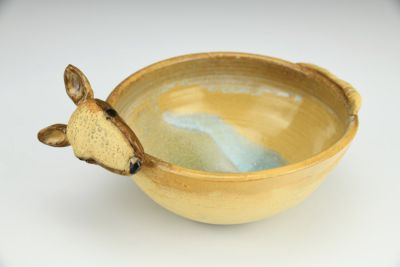 Armadillo Salsa Dish