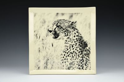 Square Cheetah Plate