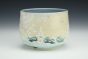 Fox Cup