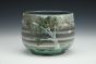 Pika and Whitebark Pine Cup