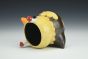 Sage The Wood Duck