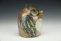 Library Owl