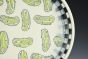 Pickle Dinner Plate