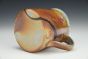 Snake and Desert Paintbrush Mug