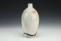 Snake and Desert Paintbrush Bottle Vase