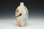 Snake and Desert Paintbrush Bottle Vase