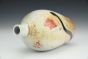 Snake and Desert Paintbrush Bottle Vase