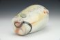 Snake and Desert Paintbrush Bottle Vase