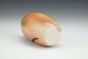 Snake Bud Vase