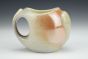 Zygoplasia Small Mug