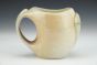 Zygoplasia Small Mug