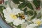Wild Rose