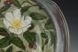 Wild Rose