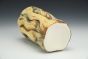 Bristlecone Tumbler