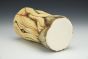 Bristlecone Tumbler
