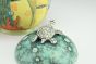 Turtle Jar