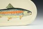 Rainbow Trout Tray