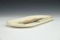 Rainbow Trout Tray
