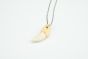Wolf Tooth Necklace