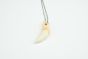 Wolf Tooth Necklace