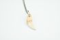 Wolf Tooth Necklace