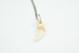 Wolf Tooth Necklace